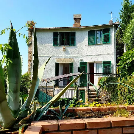 Ai Pastelli * Дзоальи