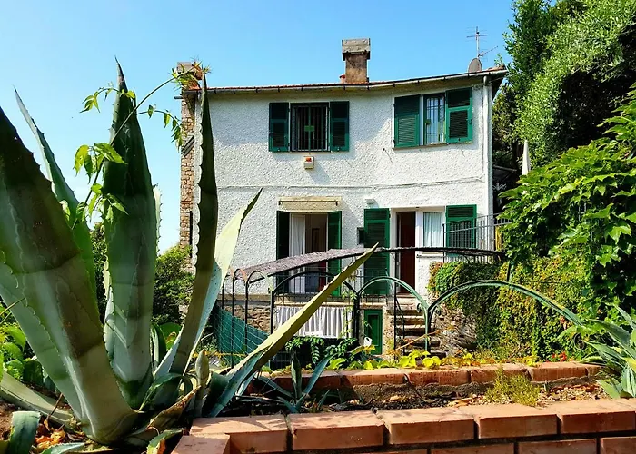 Ai Pastelli * Дзоальи